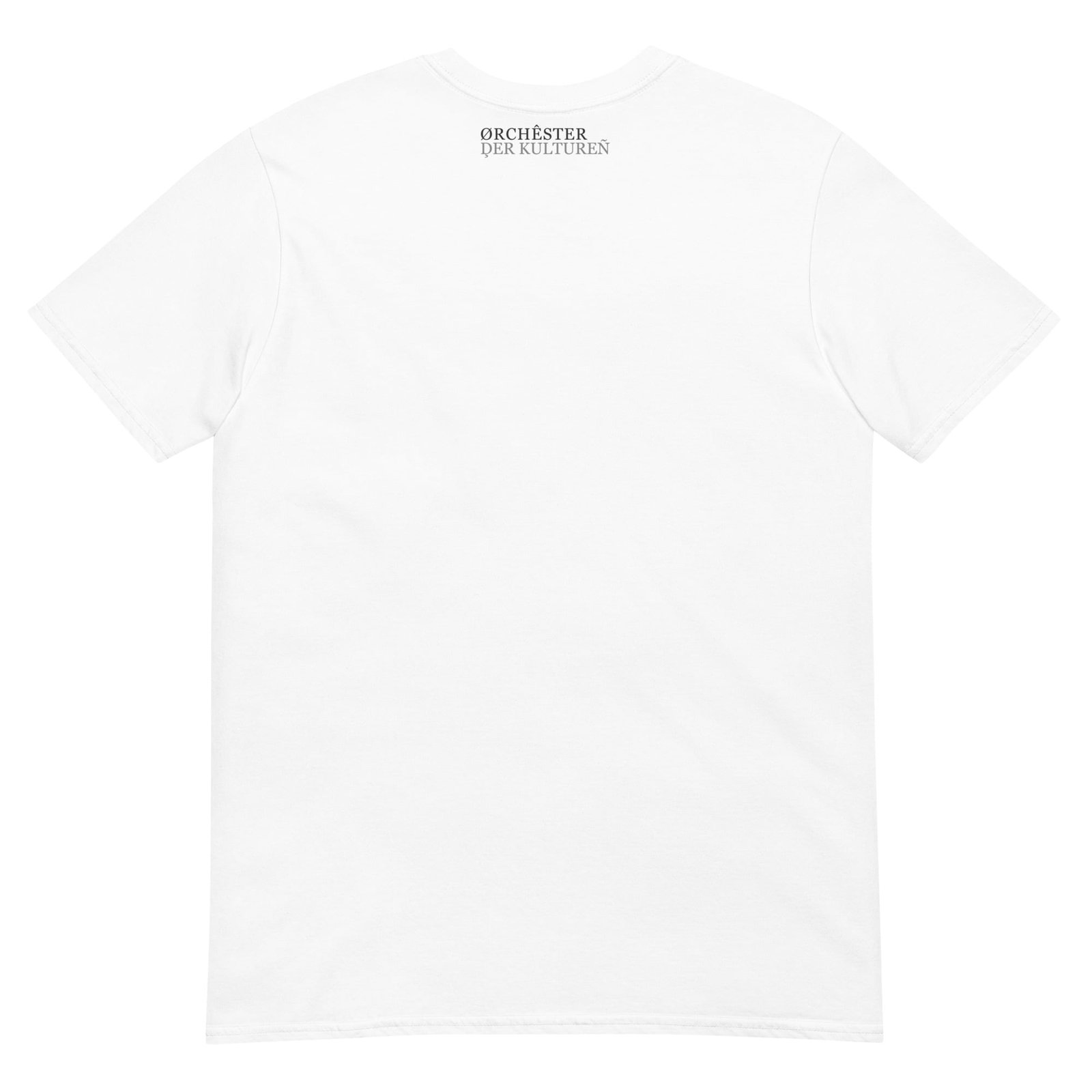 maglietta unisex-basic-softstyle-white-back-6380a05d7f2bb.jpg